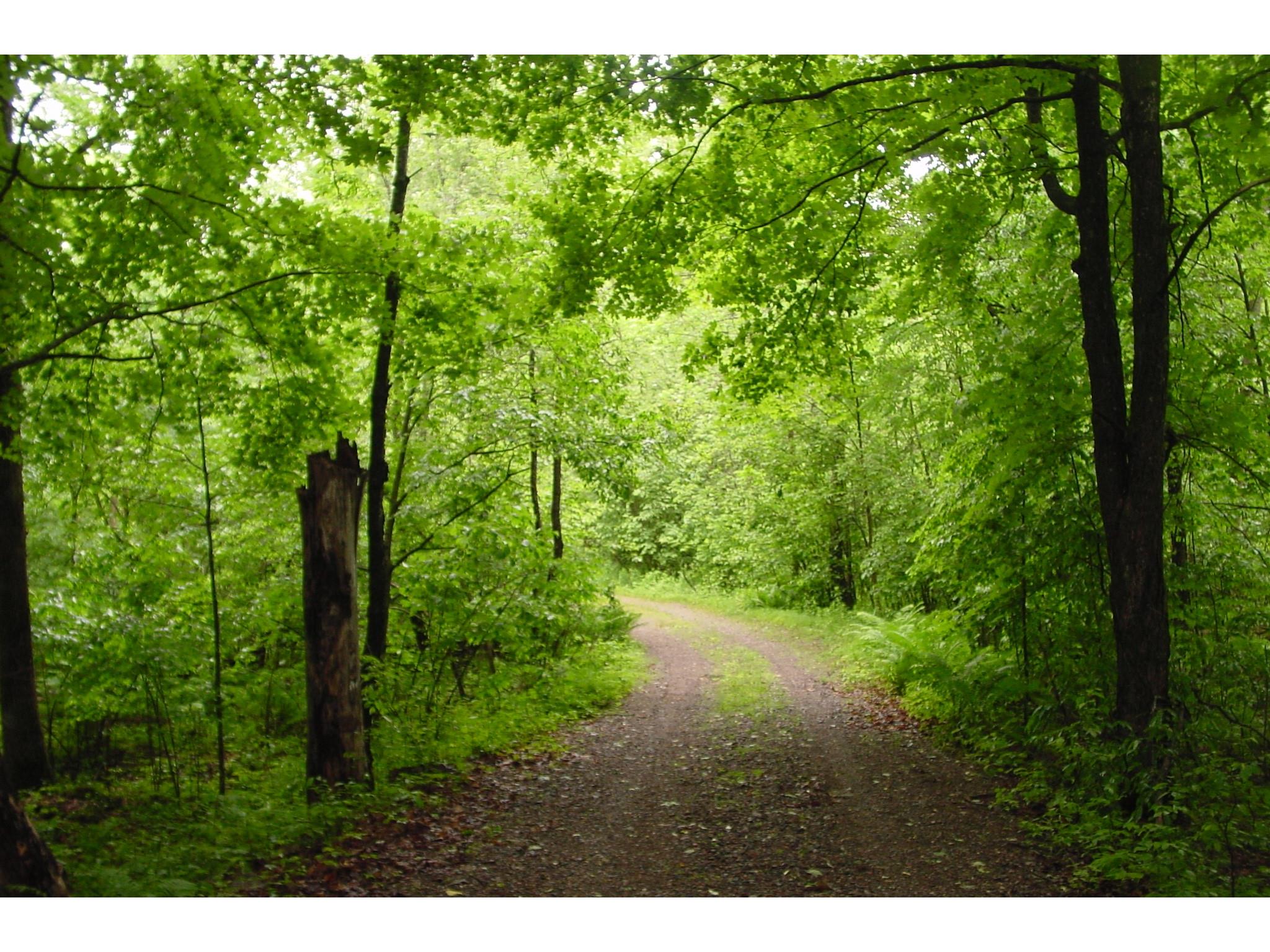 N6659 Kaiser Road Hawkins WI 54530 - LaVerne 1602187 image38