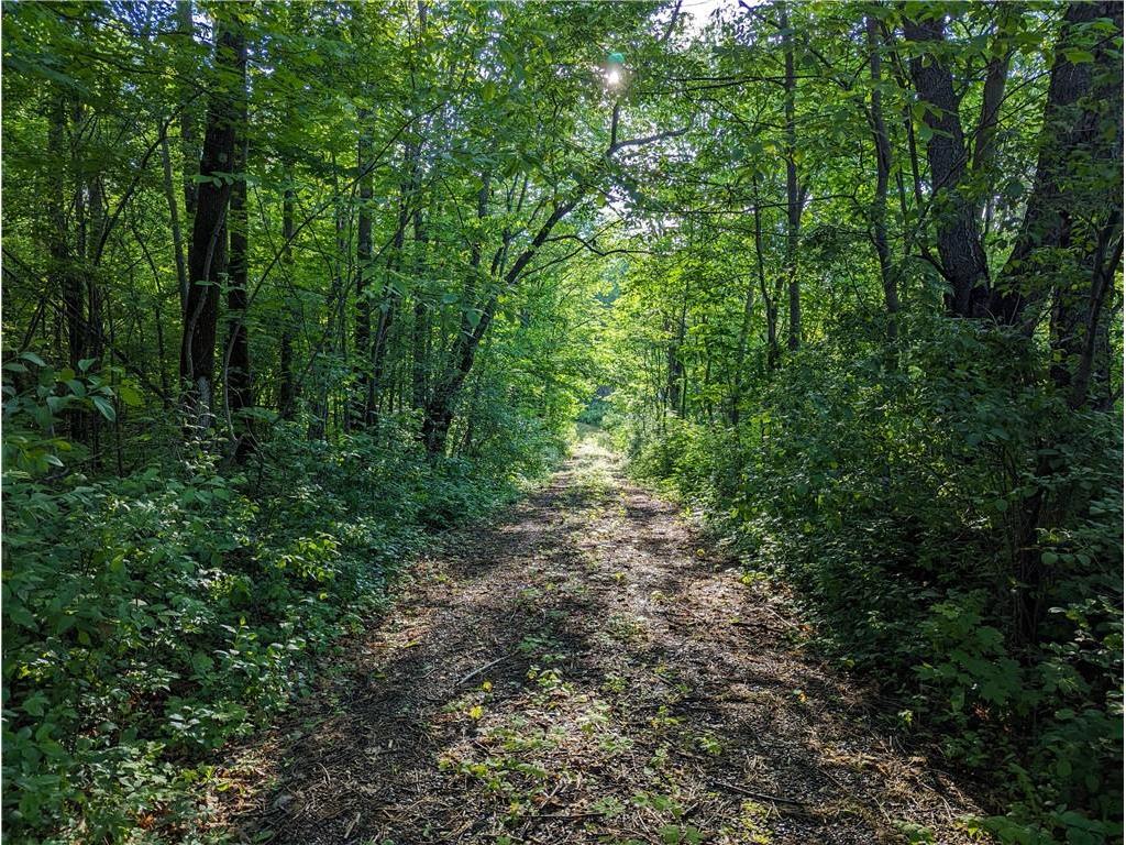 N6843 Shamrock Lake Road, Hawkins, WI, 54530 MLS 1582821 Edina Realty