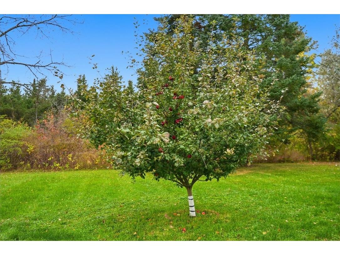 N6909 W Elm Road Ladysmith WI 54484 1596538 image24