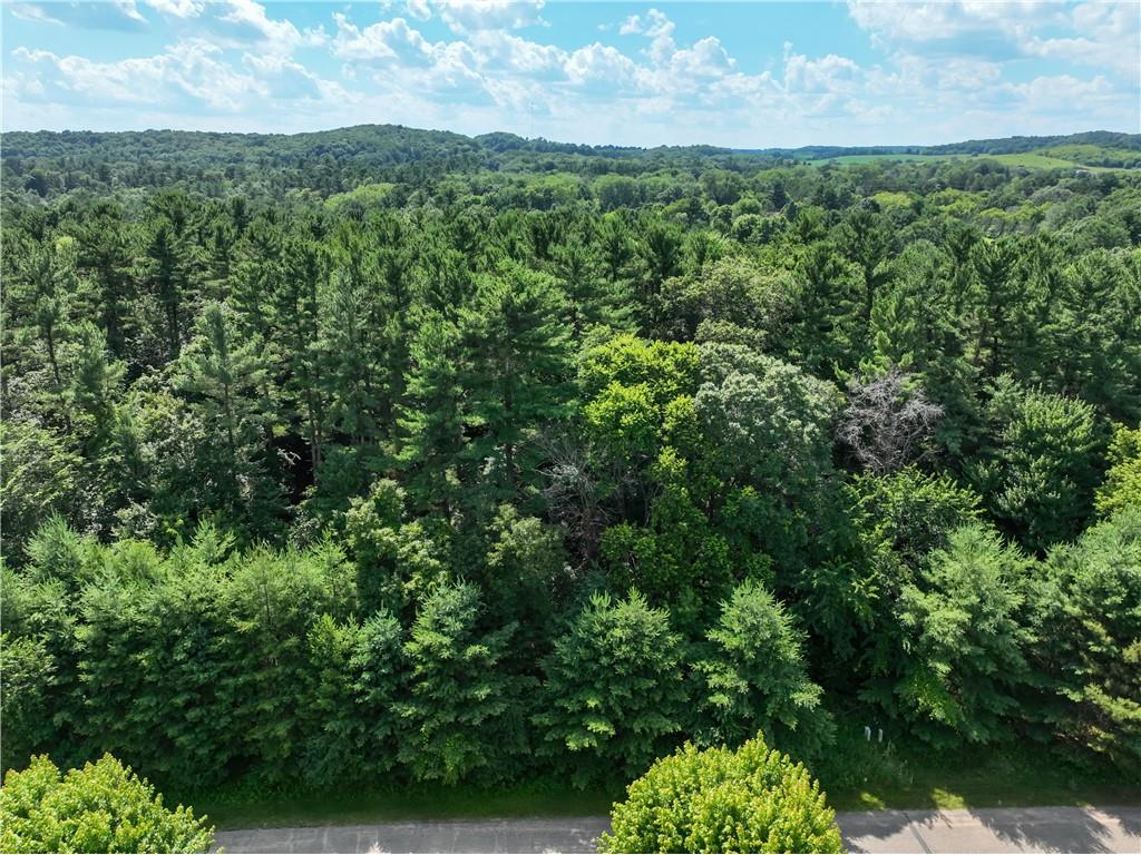 N6927 549th Street Menomonie WI 54751 - Red Cedar 1589977 image15