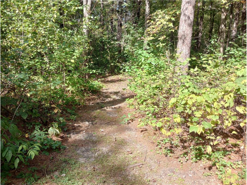 N7084 Us Highway 12 Black River Falls WI 54615 1595633 image49