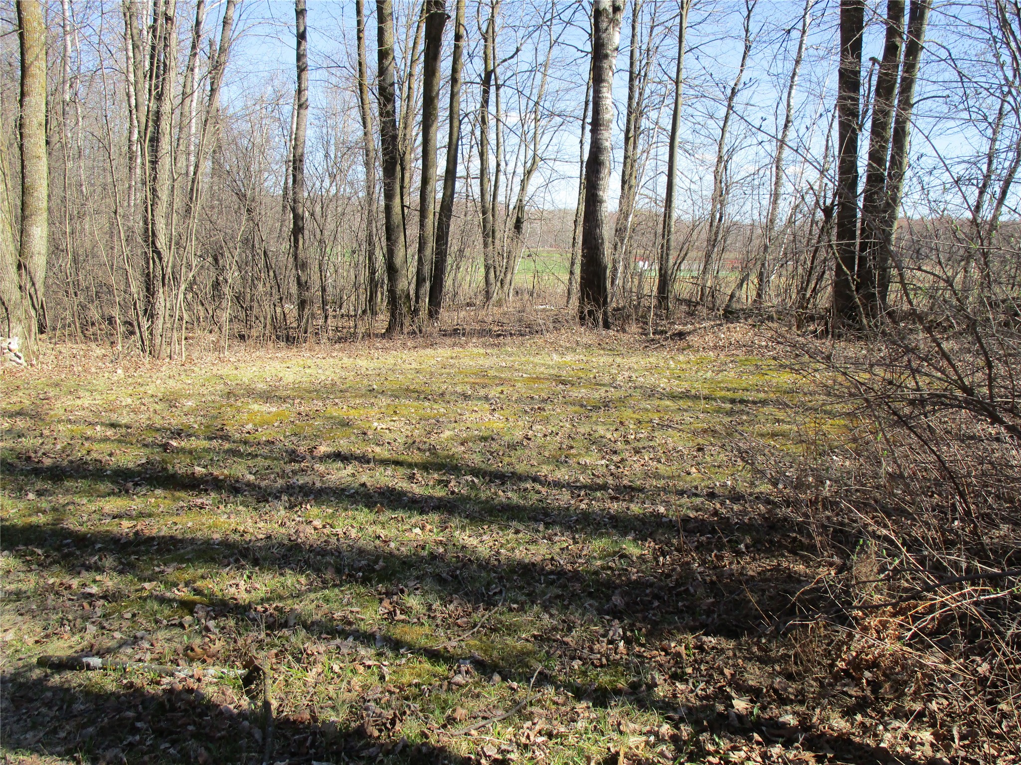 N7110 Hackett Road Hawkins WI 54530 1600843 image10