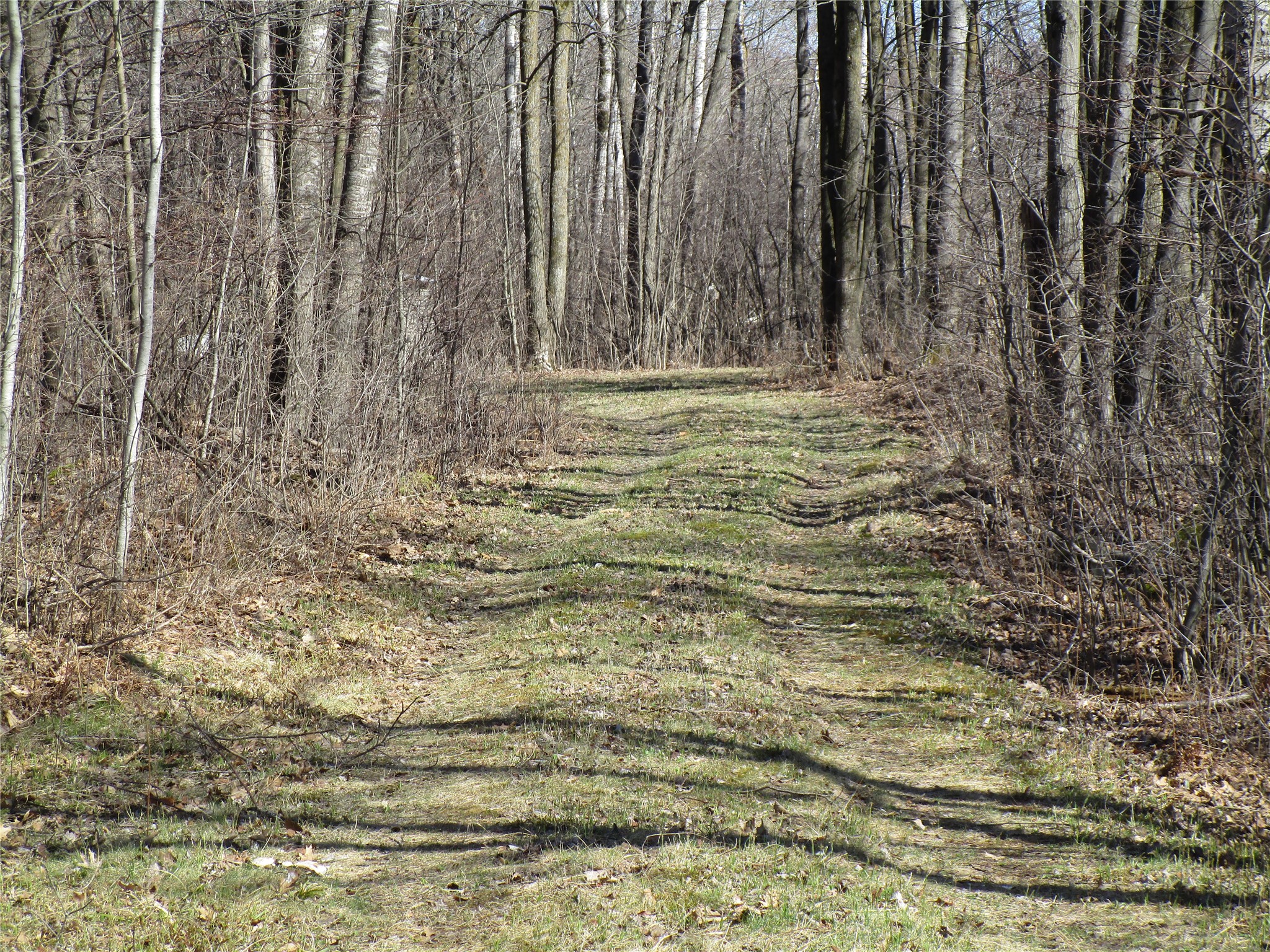 N7110 Hackett Road Hawkins WI 54530 1600843 image8