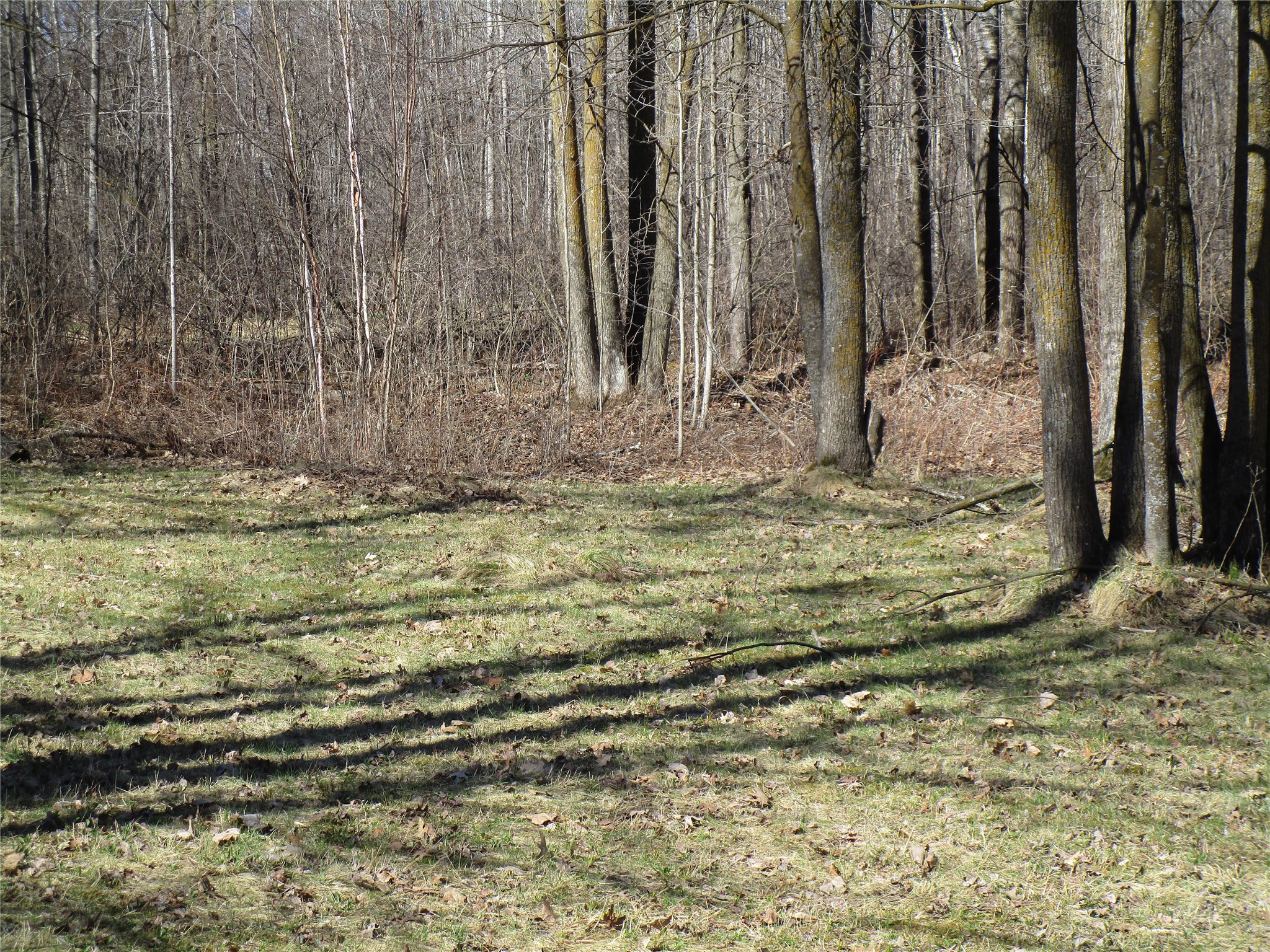 N7110 Hackett Road Hawkins WI 54530 1600843 image9
