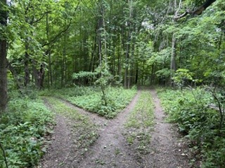 N7265 County Road Bb Spring Valley WI 54767 1601849 image28