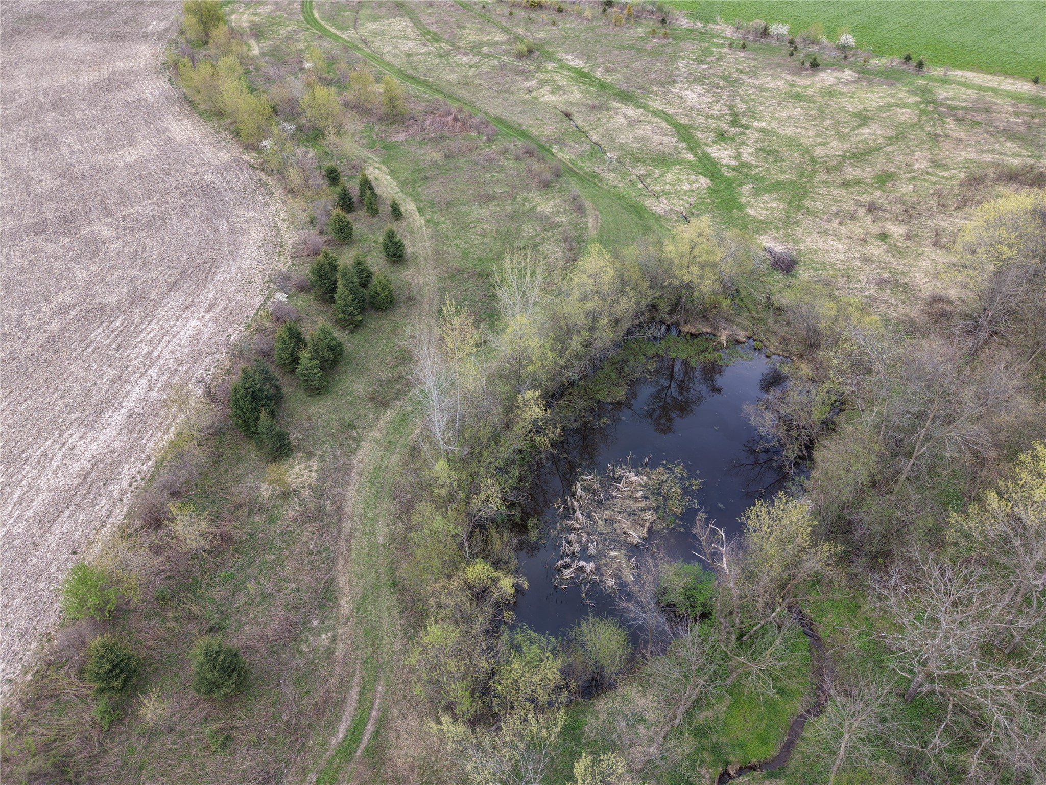 N7265 County Road Bb Spring Valley WI 54767 1601849 image32