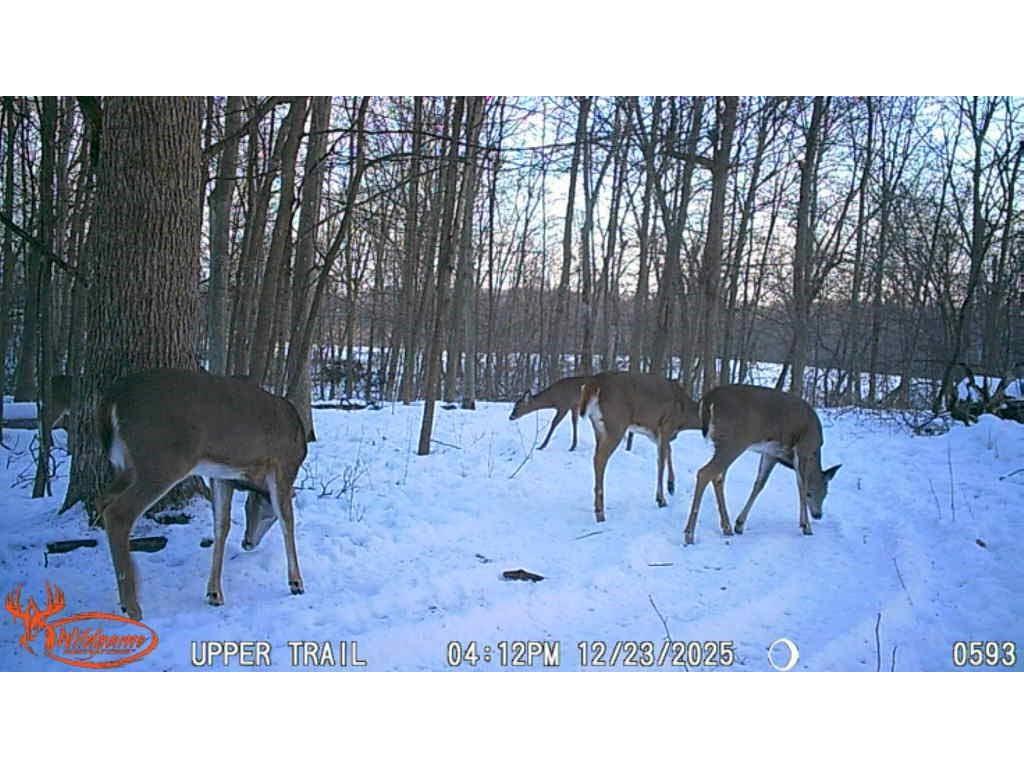 N7265 County Road Bb Spring Valley WI 54767 1601849 image41