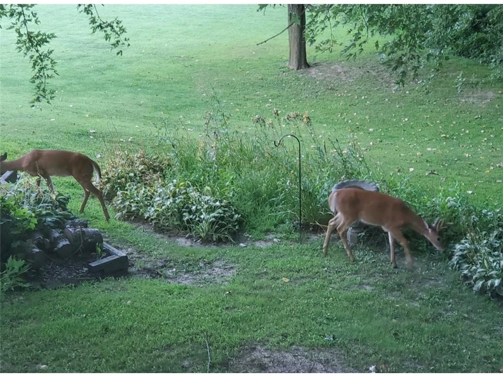N7273 529th St. Menomonie WI 54751 1597358 image38