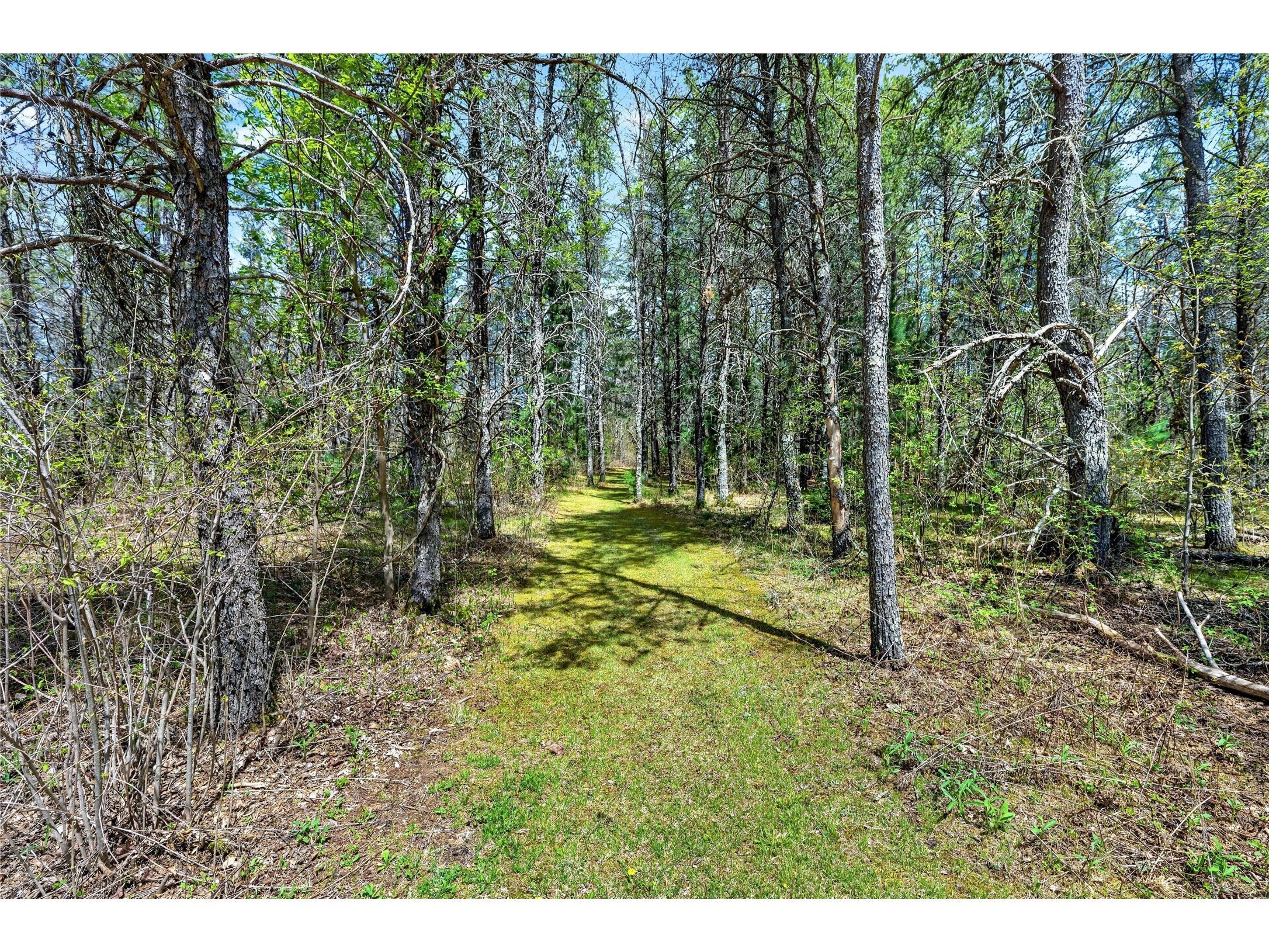 N7520 Pow Road Springbrook WI 54875 1601102 image40
