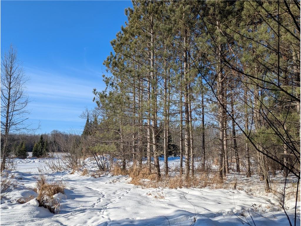 N7551 Hackett Road Hawkins WI 54530 1597547 image4