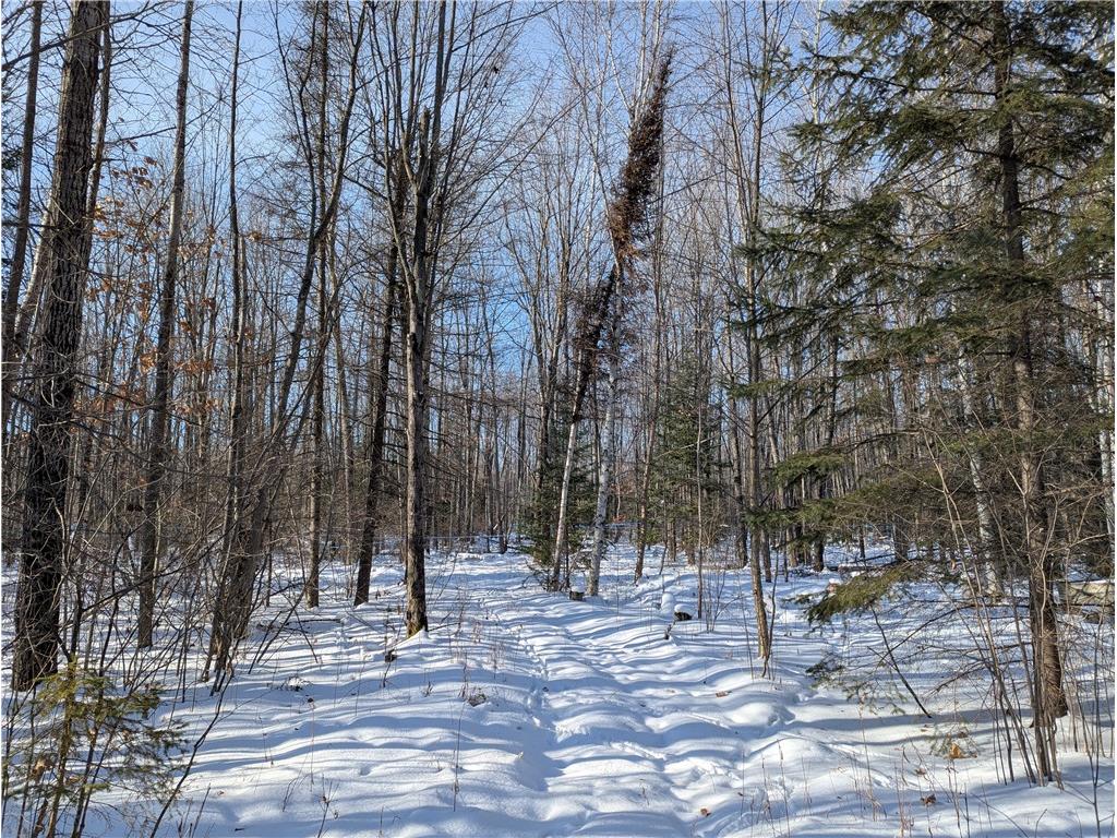 N7551 Hackett Road Hawkins WI 54530 1597547 image5