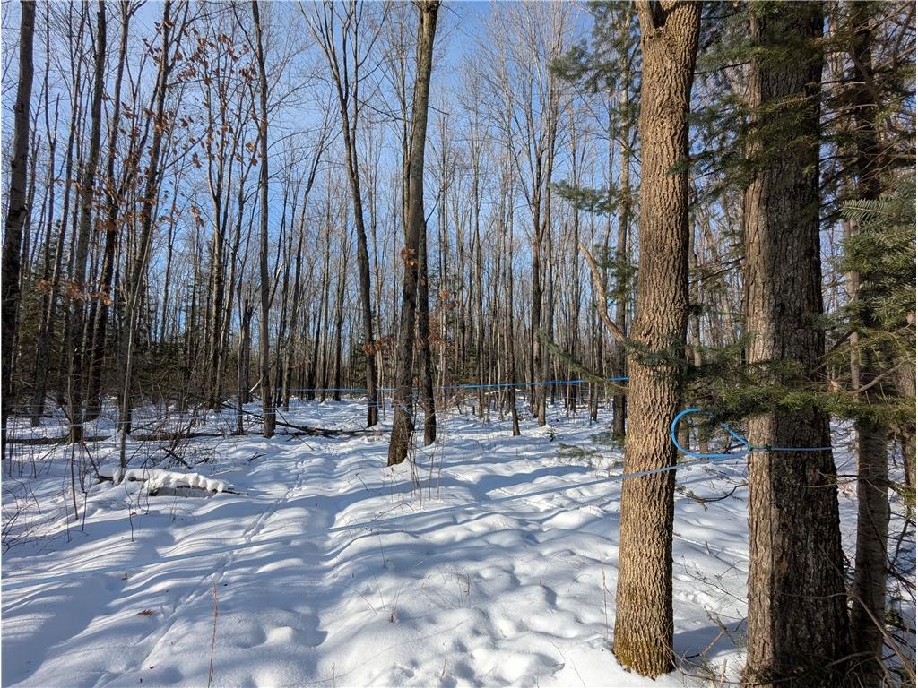 N7551 Hackett Road Hawkins WI 54530 1597547 image6