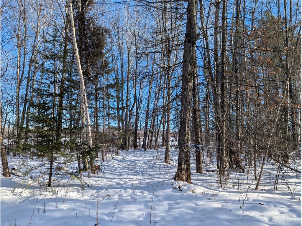 N7551 Hackett Road Hawkins WI 54530 1597547 image7