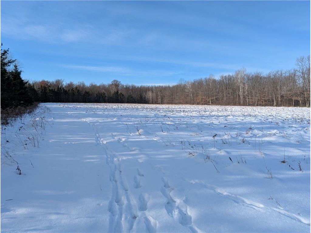 N7551 Hackett Road Hawkins WI 54530 1597547 image8