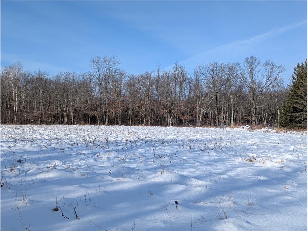 N7551 Hackett Road Hawkins WI 54530 1597547 image9