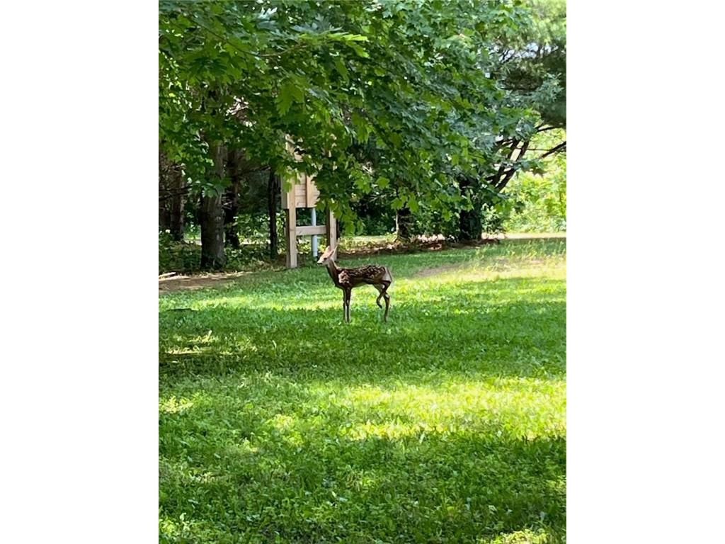 N7598 State Road 25 Menomonie WI 54751 - Tainter 1598335 image29