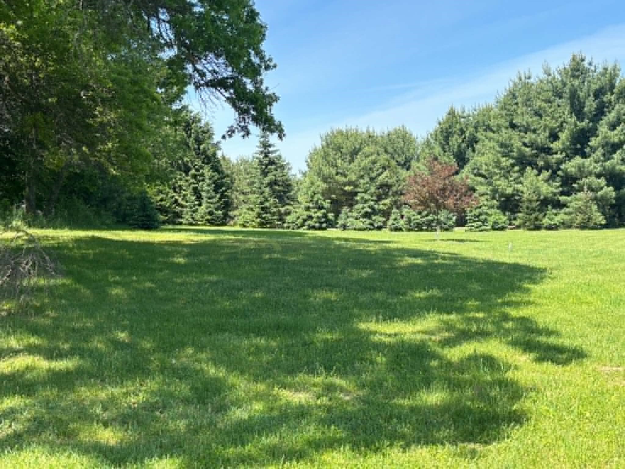 N7606 808th Street Colfax WI 54730 1601730 image3