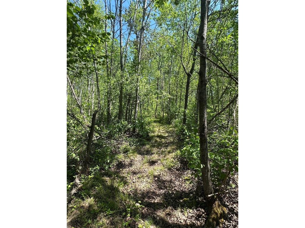 N7642 Crooked Road Ladysmith WI 54848 1601657 image28