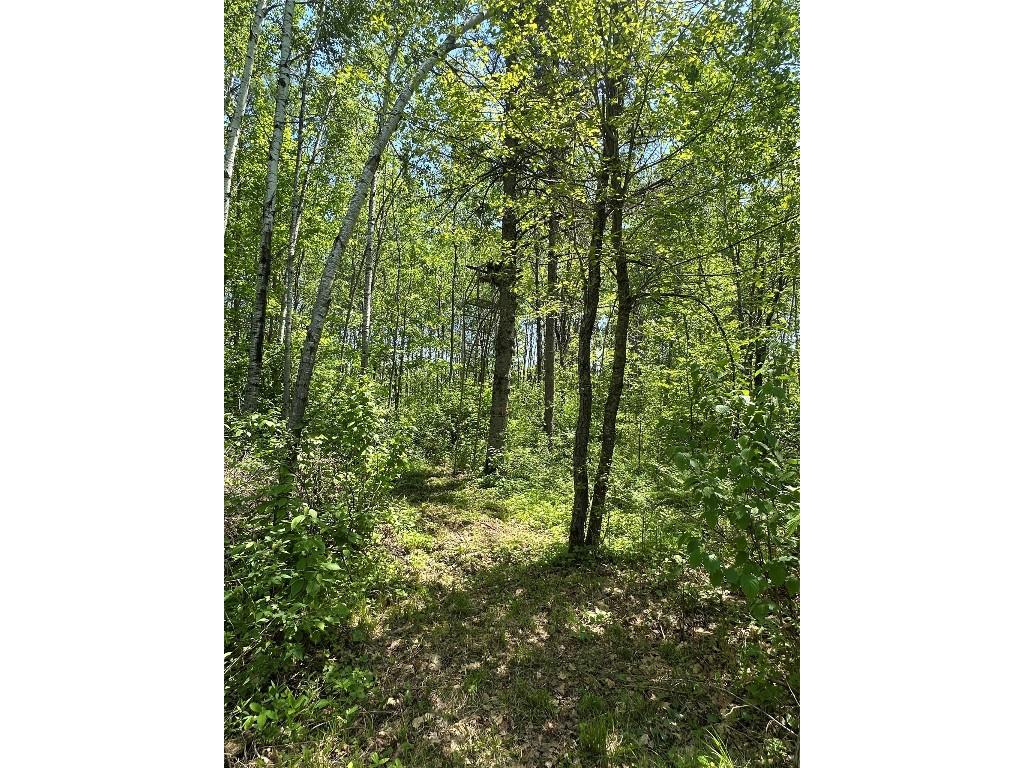 N7642 Crooked Road Ladysmith WI 54848 1601657 image29