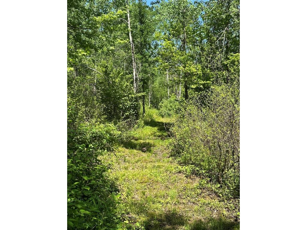 N7642 Crooked Road Ladysmith WI 54848 1601657 image30
