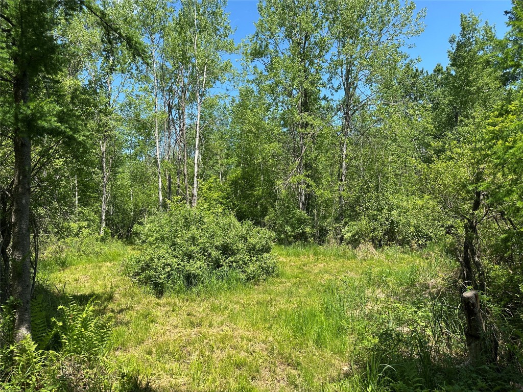 N7642 Crooked Road Ladysmith WI 54848 1601657 image31