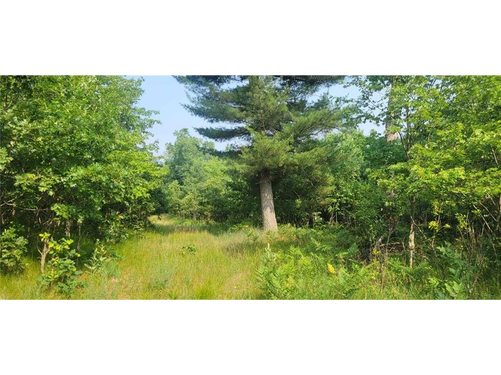 N7690 N Lowe Creek Road Hixton WI 54635 1574779 image1