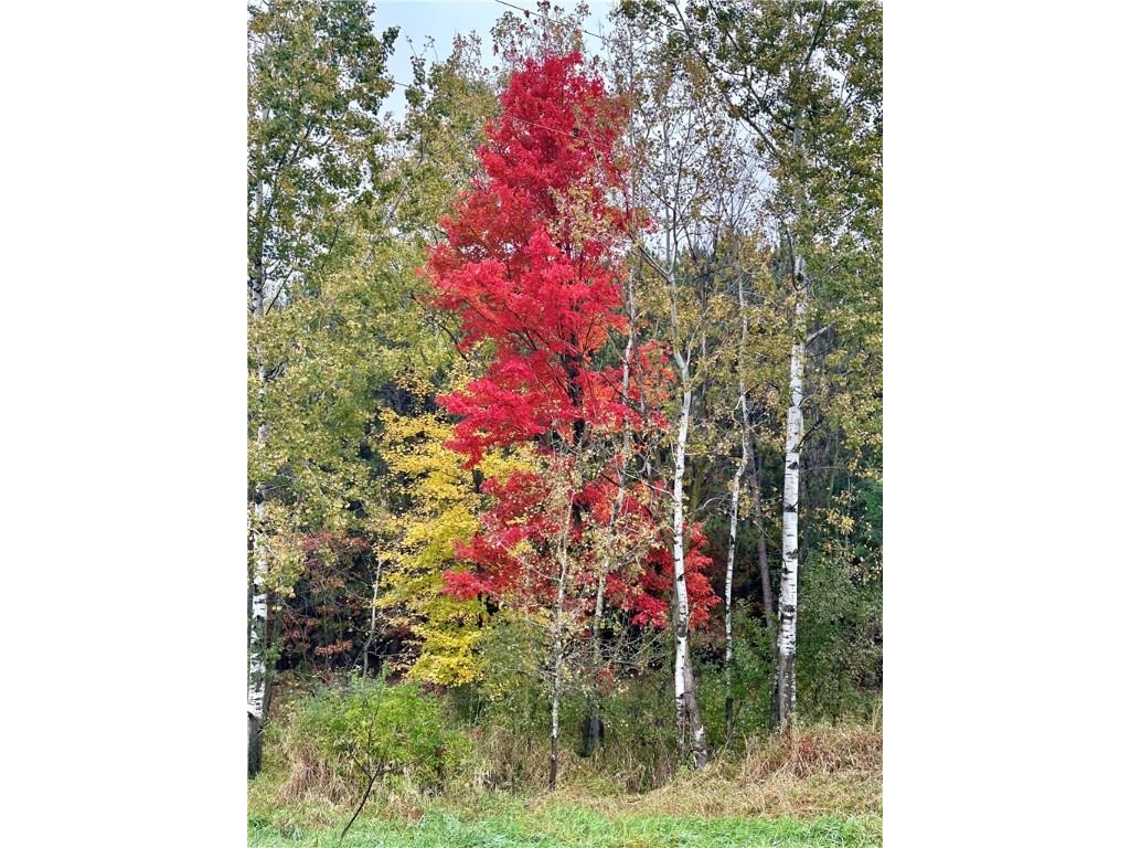 N7791 N 780th Street Colfax WI 54730 1596595 image10