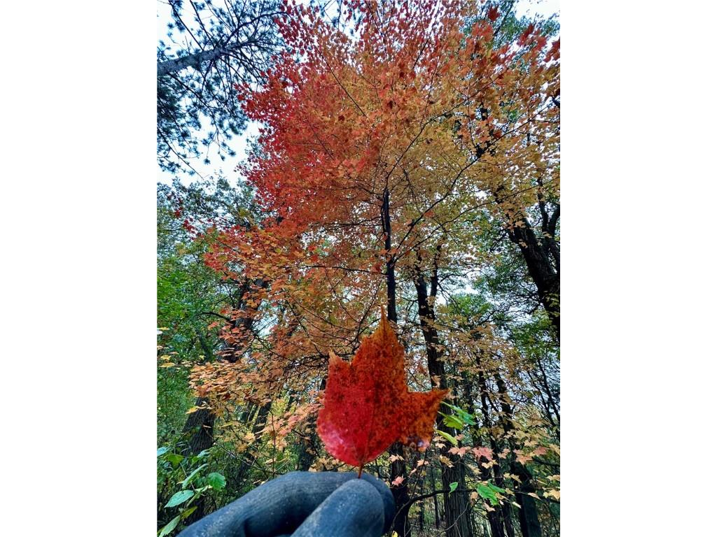 N7791 N 780th Street Colfax WI 54730 1596595 image11