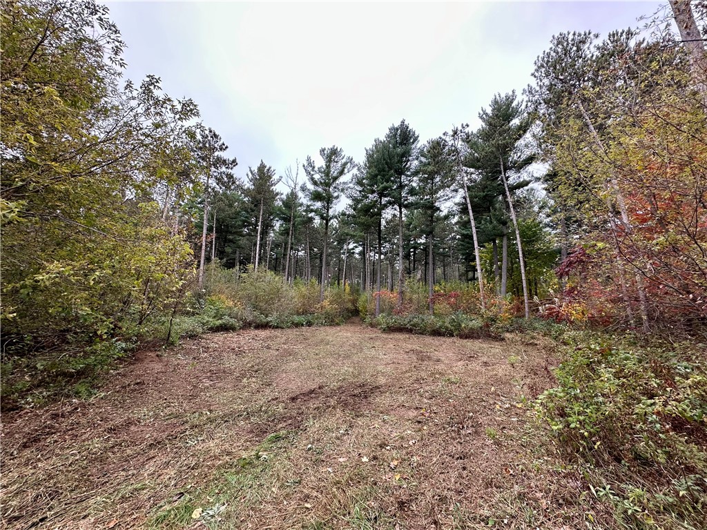 N7791 N 780th Street Colfax WI 54730 1596595 image12