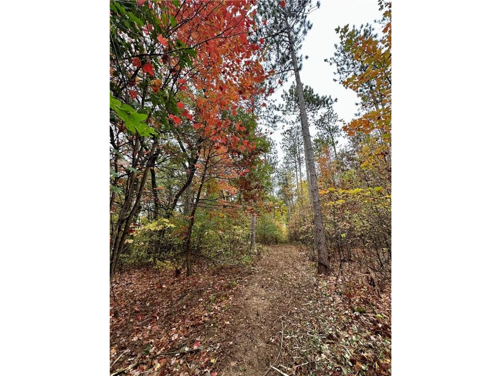 N7791 N 780th Street Colfax WI 54730 1596595 image13