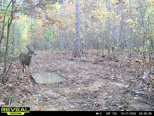 N7791 N 780th Street Colfax WI 54730 1596595 image14