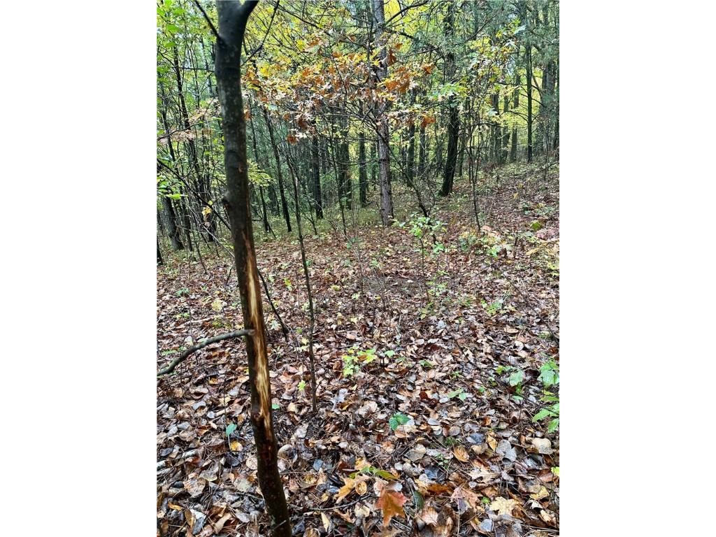 N7791 N 780th Street Colfax WI 54730 1596595 image15