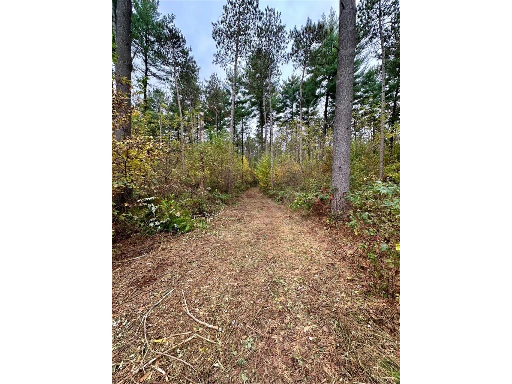 N7791 N 780th Street Colfax WI 54730 1596595 image16