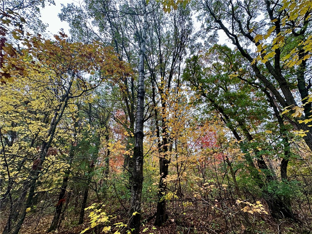 N7791 N 780th Street Colfax WI 54730 1596595 image17