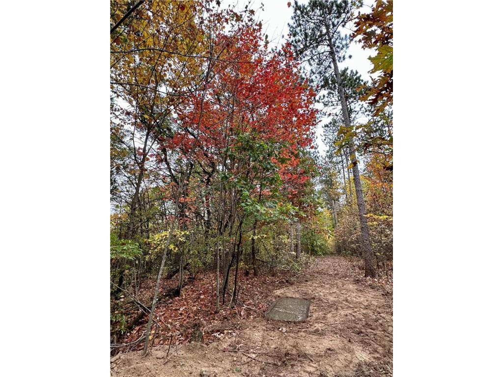 N7791 N 780th Street Colfax WI 54730 1596595 image18