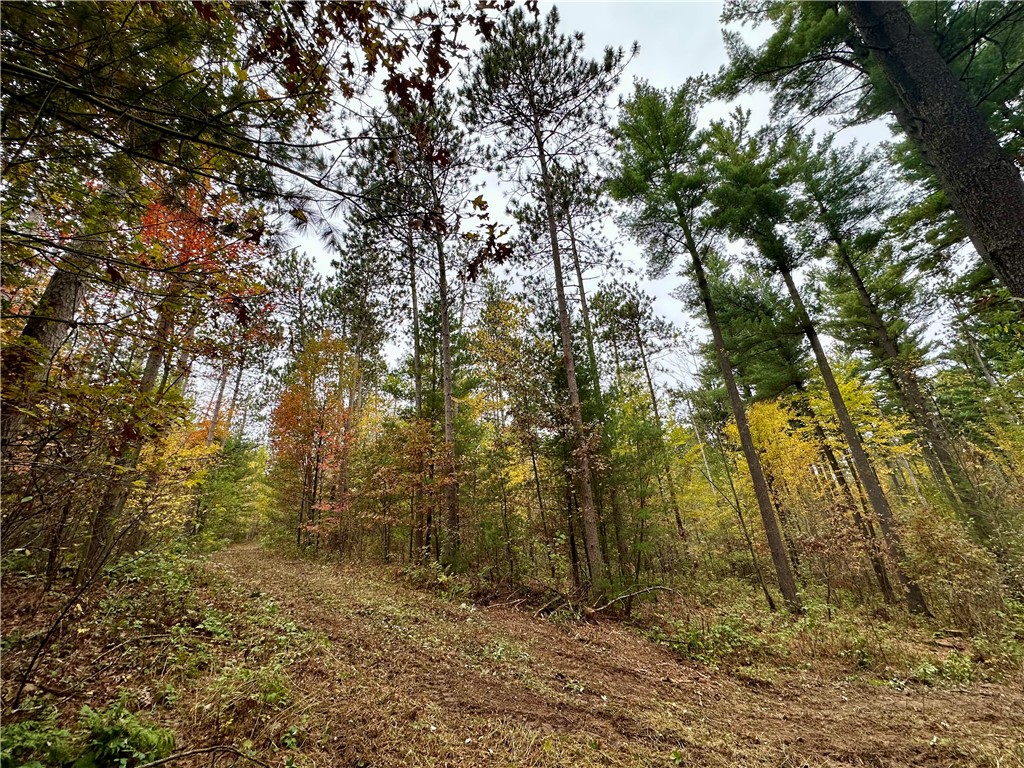 N7791 N 780th Street Colfax WI 54730 1596595 image19