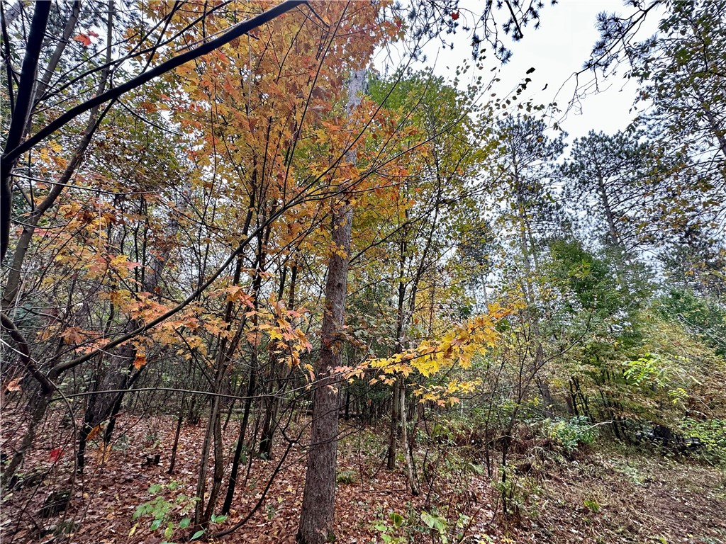 N7791 N 780th Street Colfax WI 54730 1596595 image22