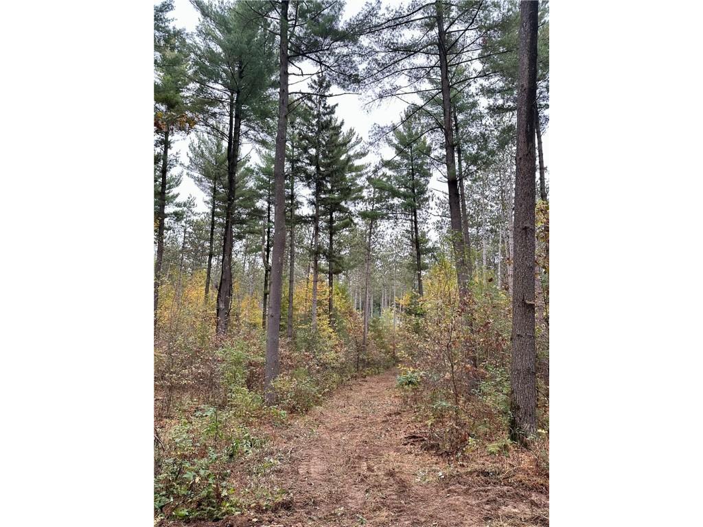 N7791 N 780th Street Colfax WI 54730 1596595 image24