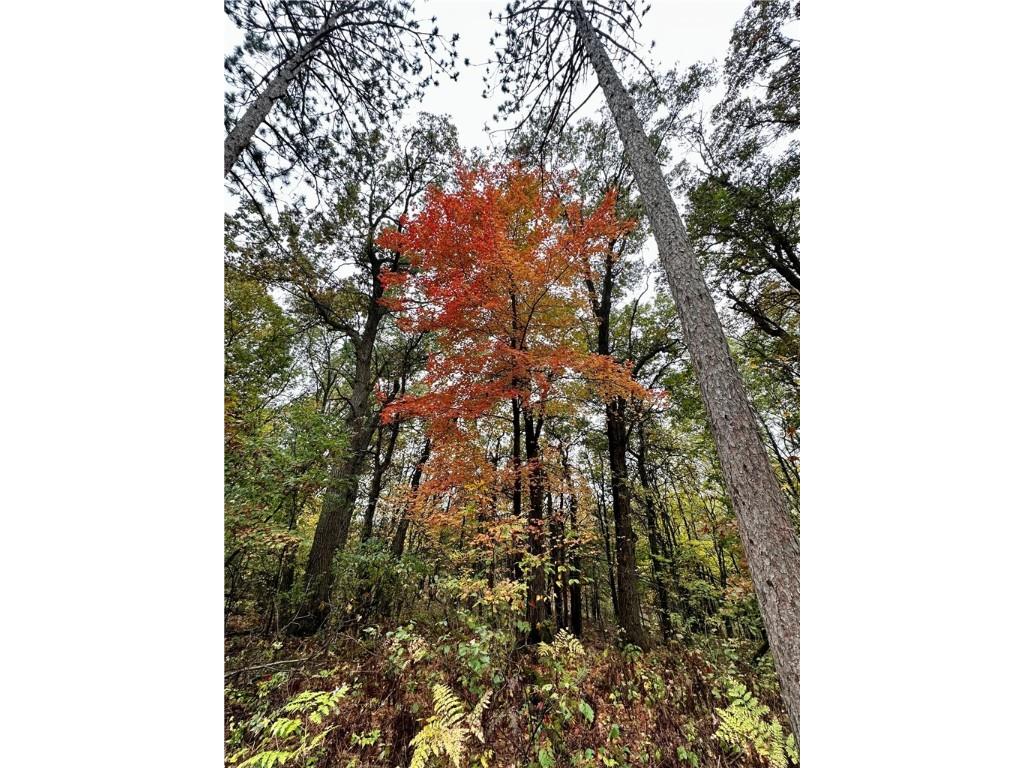 N7791 N 780th Street Colfax WI 54730 1596595 image25