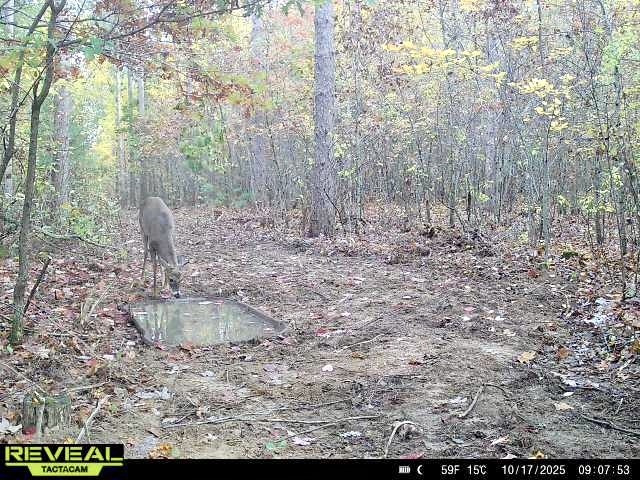 N7791 N 780th Street Colfax WI 54730 1596595 image26