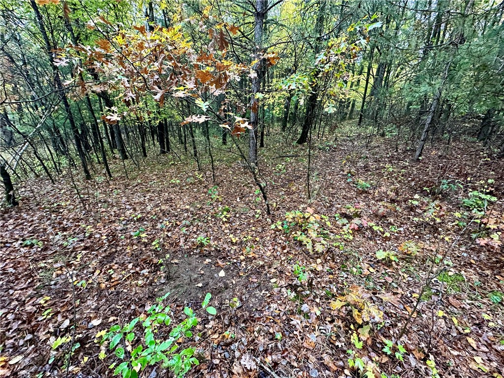 N7791 N 780th Street Colfax WI 54730 1596595 image27