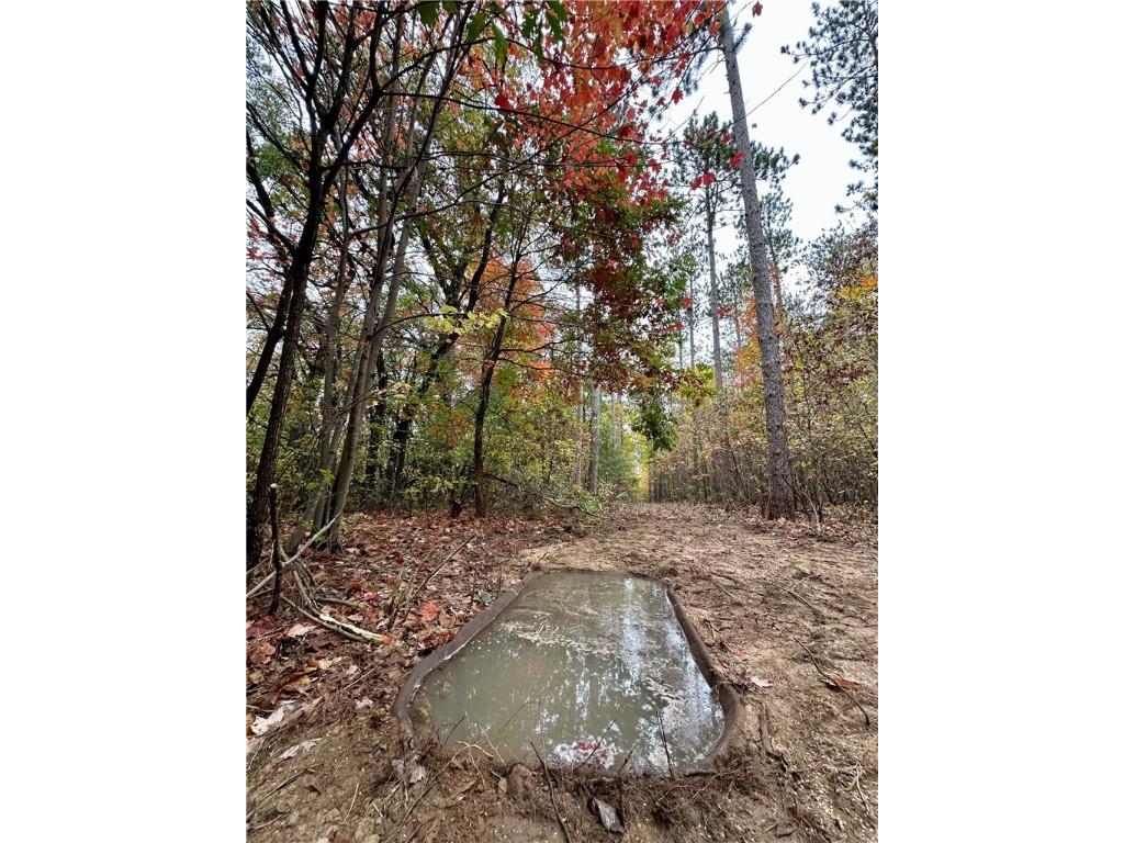 N7791 N 780th Street Colfax WI 54730 1596595 image28