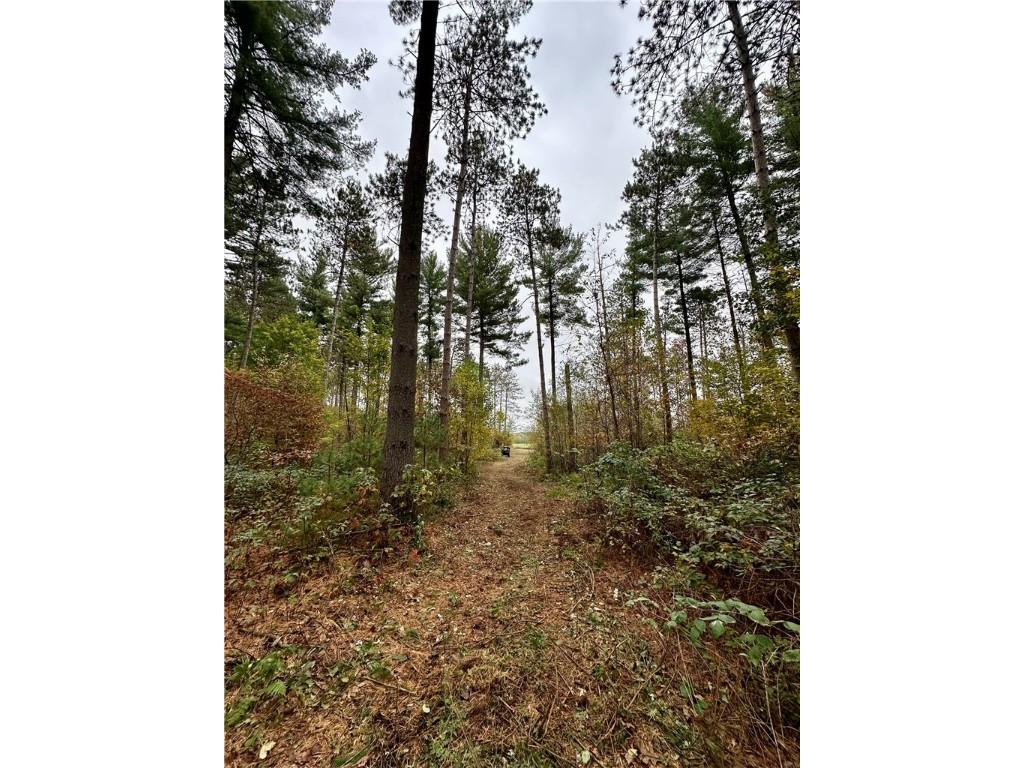 N7791 N 780th Street Colfax WI 54730 1596595 image29