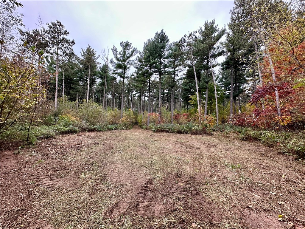 N7791 N 780th Street Colfax WI 54730 1596595 image3