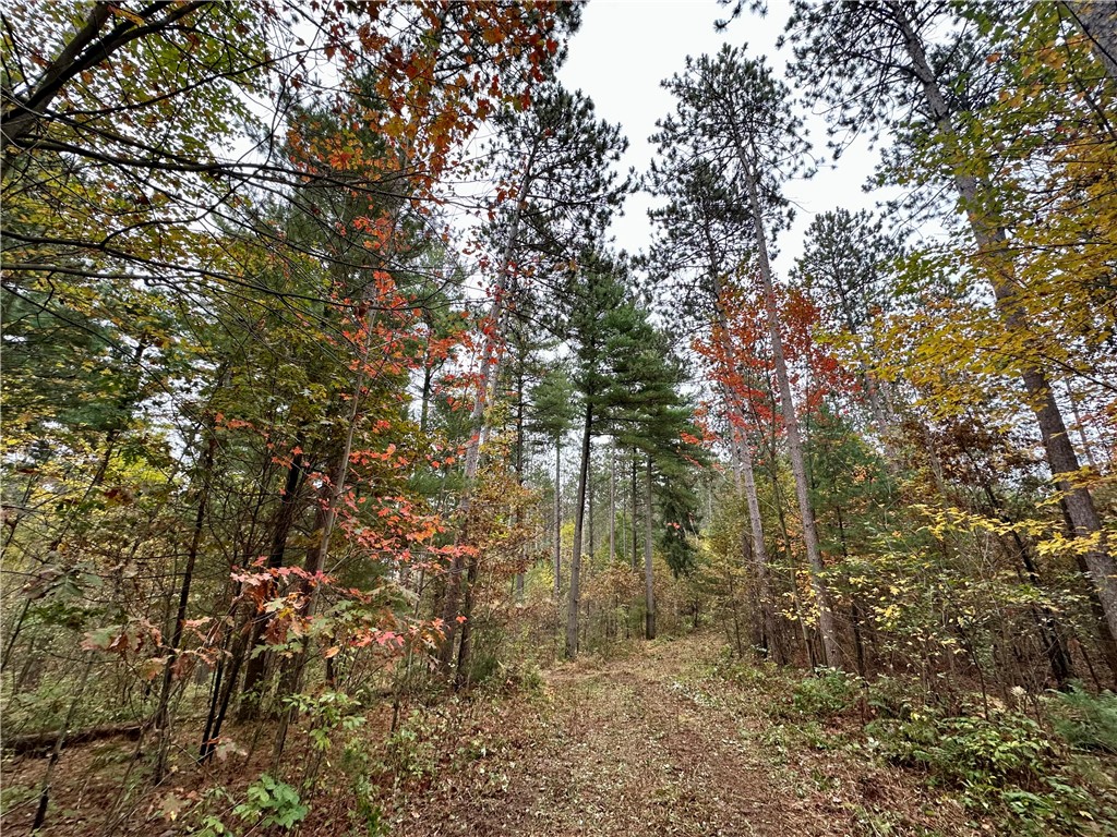 N7791 N 780th Street Colfax WI 54730 1596595 image30