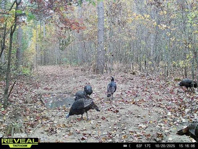 N7791 N 780th Street Colfax WI 54730 1596595 image31