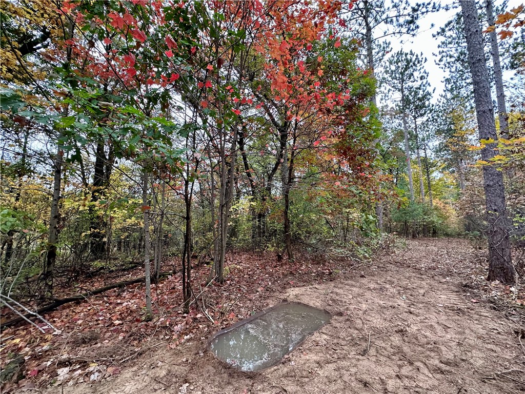 N7791 N 780th Street Colfax WI 54730 1596595 image5