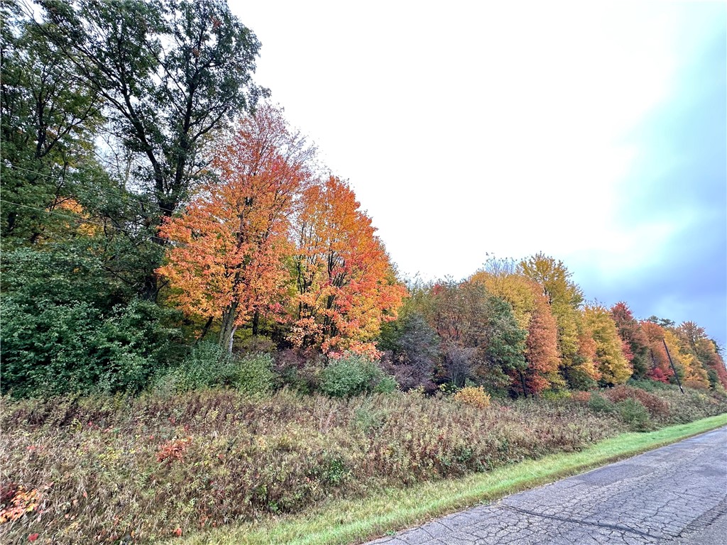 N7791 N 780th Street Colfax WI 54730 1596595 image6