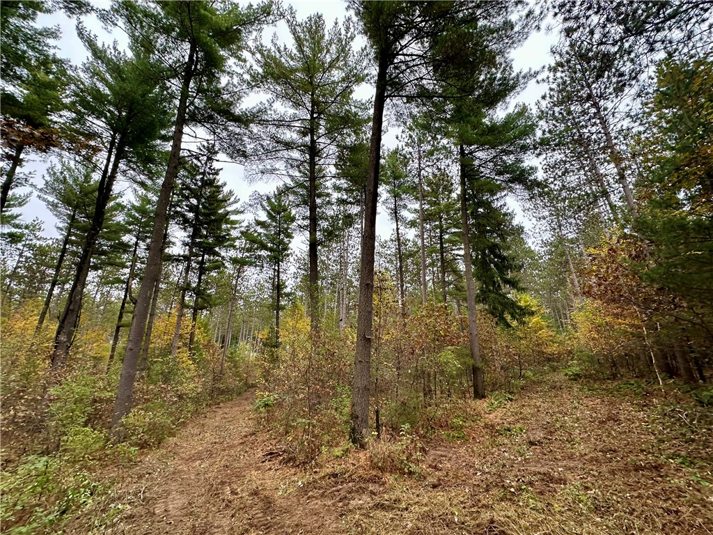 N7791 N 780th Street Colfax WI 54730 1596595 image8