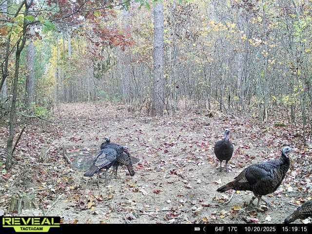 N7791 N 780th Street Colfax WI 54730 1596595 image9